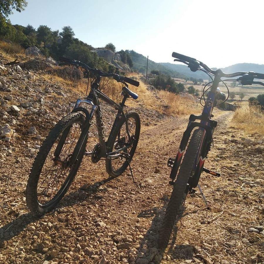 Likya Sup Apart Kaş Exterior foto